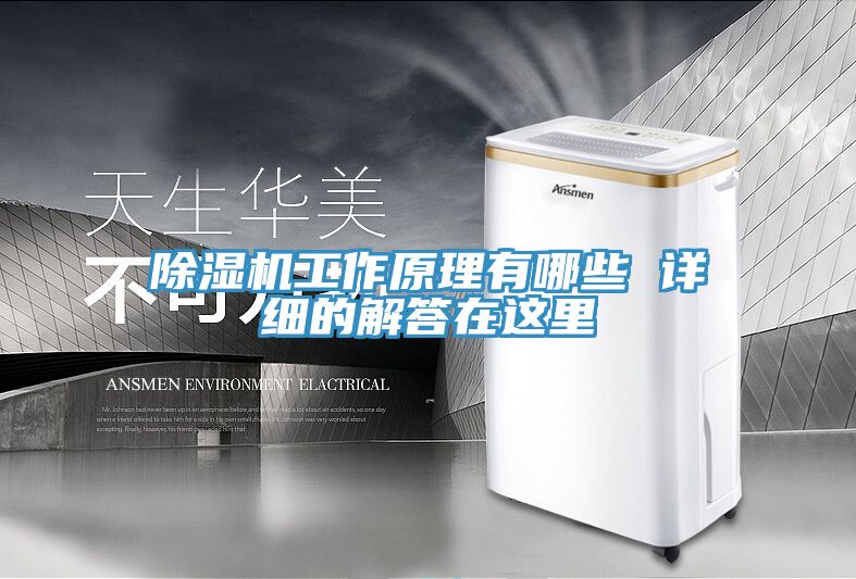 亚洲欧美一级特黄大片 除湿机工作原理有哪些 详细的解答在这里