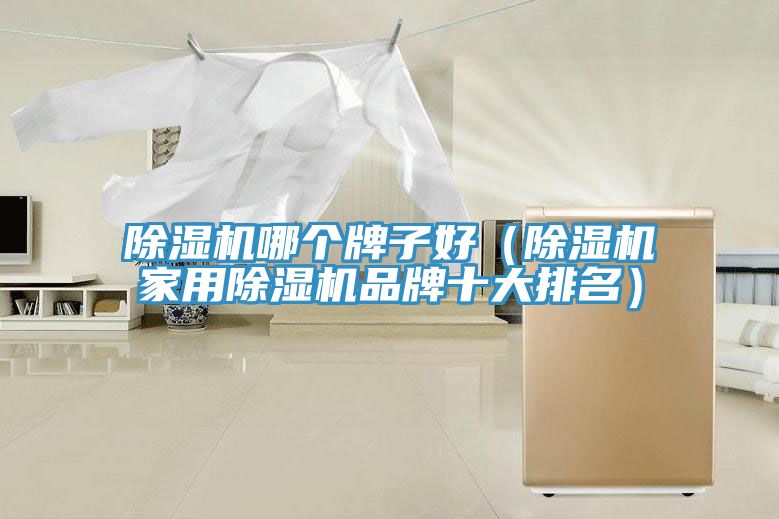 亚洲乱码一区二区三区 除湿机哪个牌子好（除湿机家用除湿机品牌十大排名）