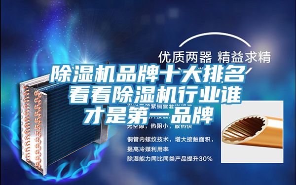 亚洲欧美一级特黄大片 除湿机品牌十大排名 看看除湿机行业谁才是第一品牌