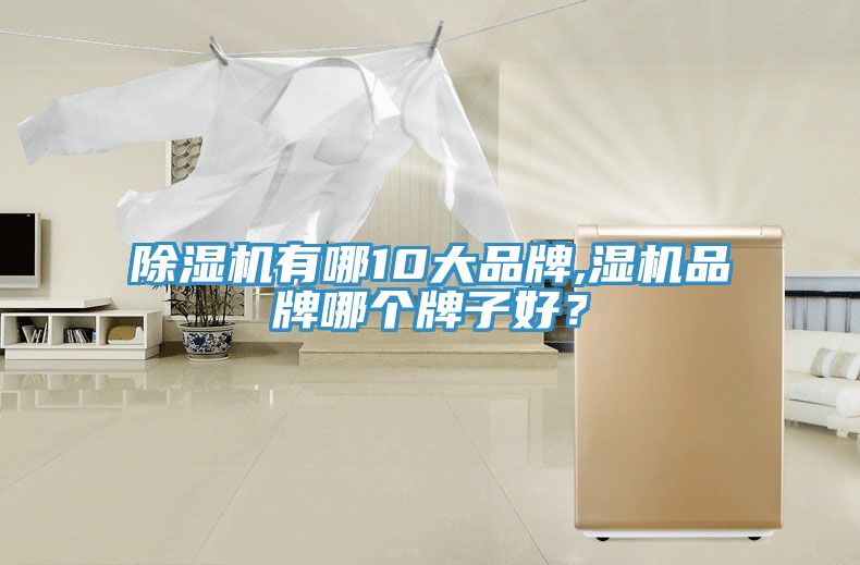 亚洲人成综合第一网站 除湿机有哪10大品牌,湿机品牌哪个牌子好？