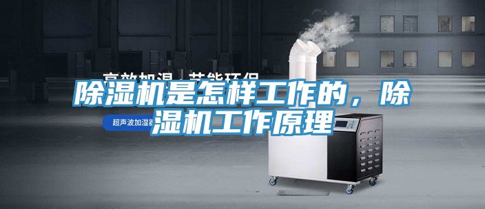 亚洲欧美一级特黄大片 除湿机是怎样工作的，除湿机工作原理