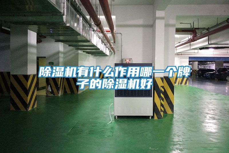 亚洲乱码一区二区三区 除湿机有什么作用哪一个牌子的除湿机好