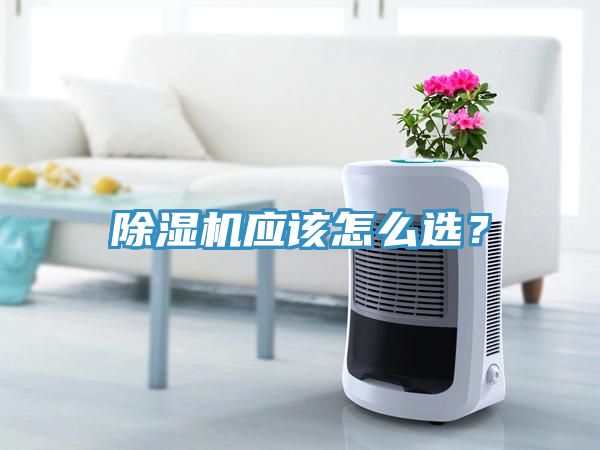 亚洲乱码一区二区三区 除湿机应该怎么选？