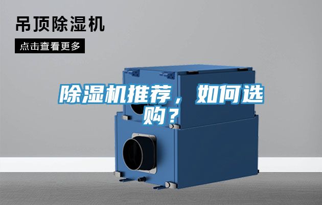 亚洲欧美一级特黄大片 除湿机推荐，如何选购？