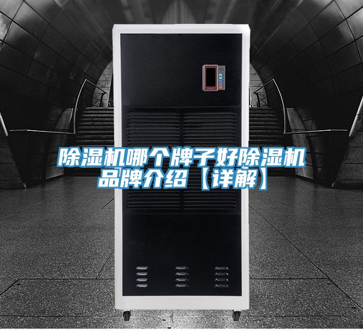 亚洲乱码一区二区三区 除湿机哪个牌子好除湿机品牌介绍【详解】