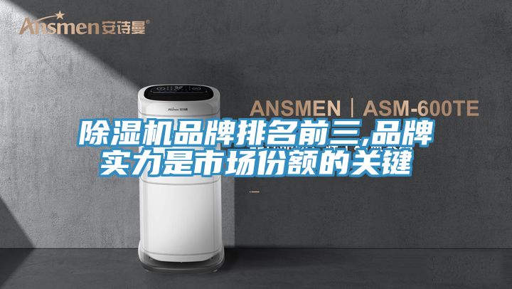 亚洲欧美一级特黄大片 除湿机品牌排名前三,品牌实力是市场份额的关键