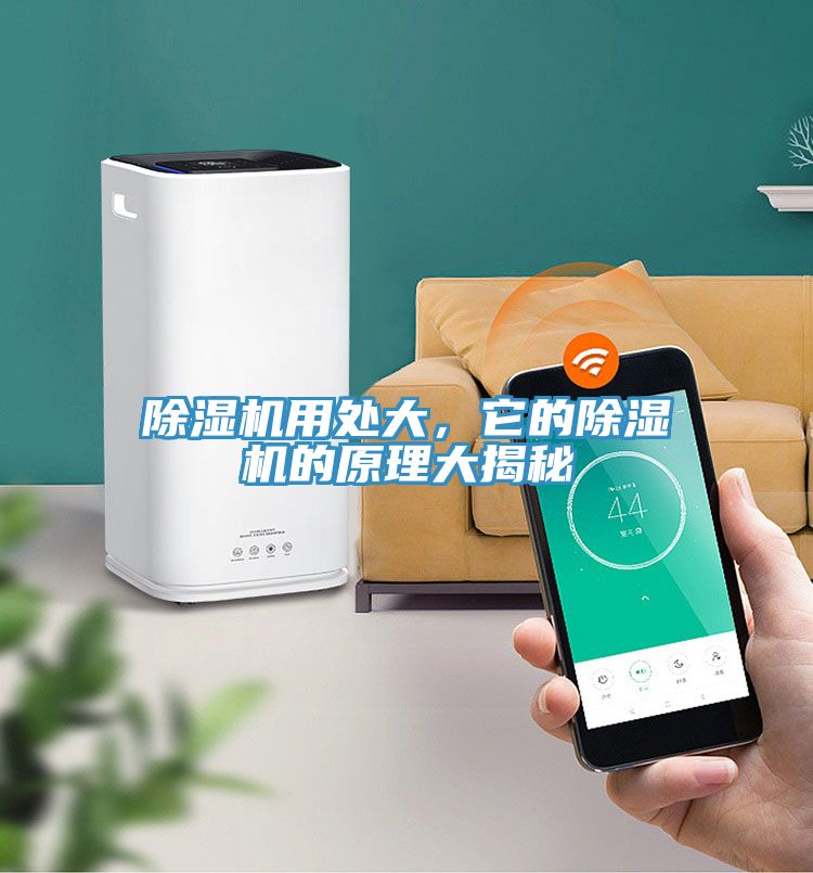 亚洲乱码一区二区三区 除湿机用处大，它的除湿机的原理大揭秘