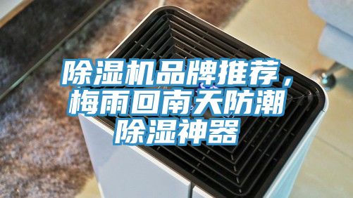亚洲人成综合第一网站 除湿机品牌推荐，梅雨回南天防潮除湿神器