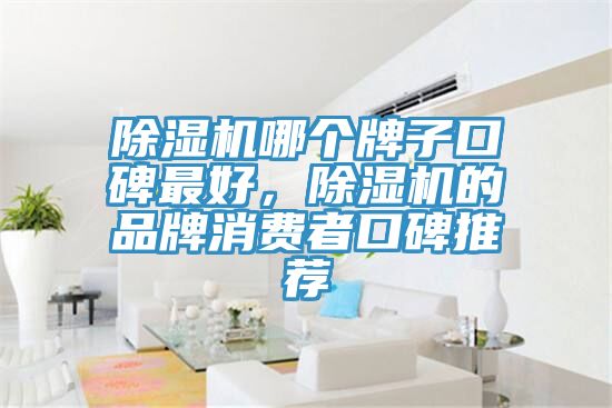 亚洲欧美一级特黄大片 除湿机哪个牌子口碑最好，除湿机的品牌消费者口碑推荐