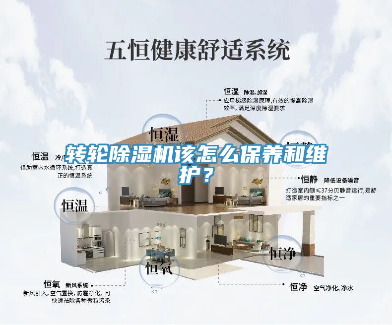 亚洲欧美一级特黄大片 转轮除湿机该怎么保养和维护？