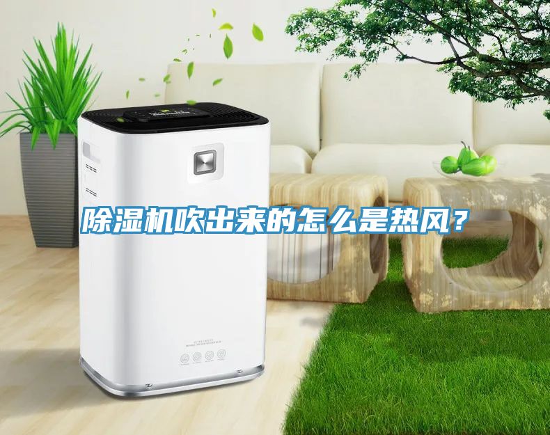 亚洲乱码一区二区三区 除湿机吹出来的怎么是热风？