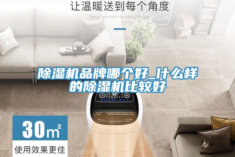 亚洲欧美一级特黄大片 除湿机品牌哪个好_什么样的除湿机比较好