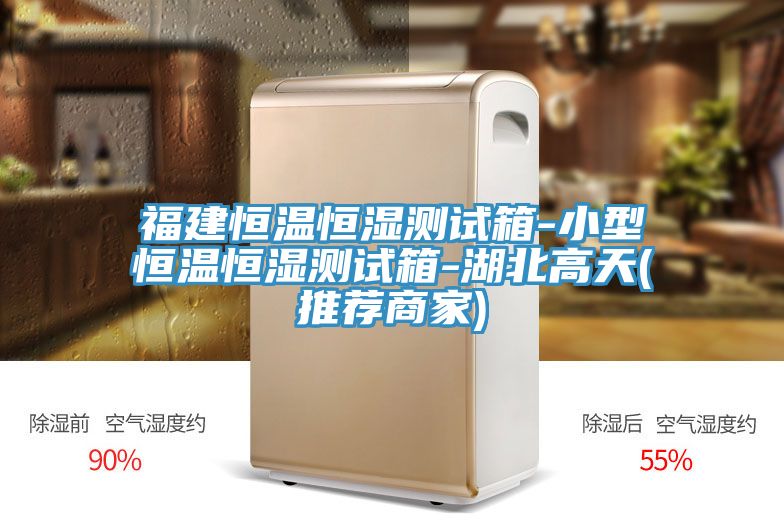 亚洲欧美一级特黄大片 福建恒温恒湿测试箱-小型恒温恒湿测试箱-湖北高天(推荐商家)