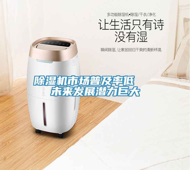 亚洲欧美一级特黄大片 除湿机市场普及率低   未来发展潜力巨大