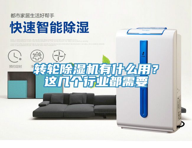 亚洲人成综合第一网站 转轮除湿机有什么用？这几个行业都需要