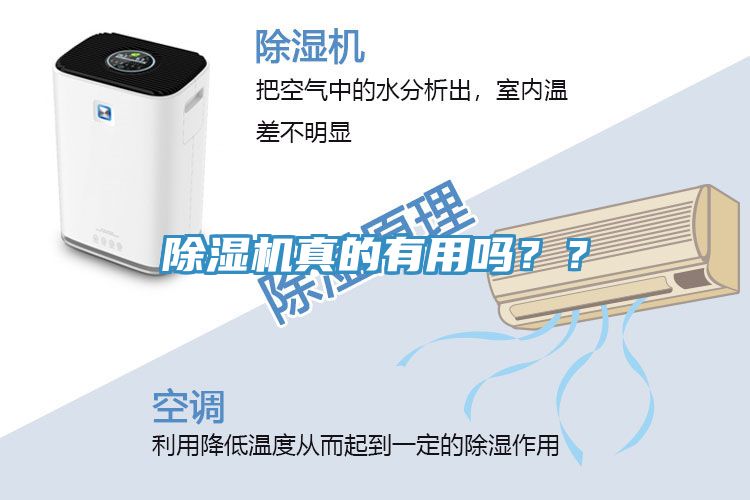 亚洲人成综合第一网站 除湿机真的有用吗？？