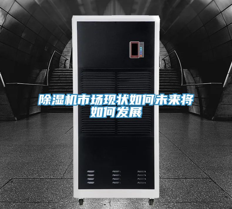 亚洲人成综合第一网站 除湿机市场现状如何未来将如何发展