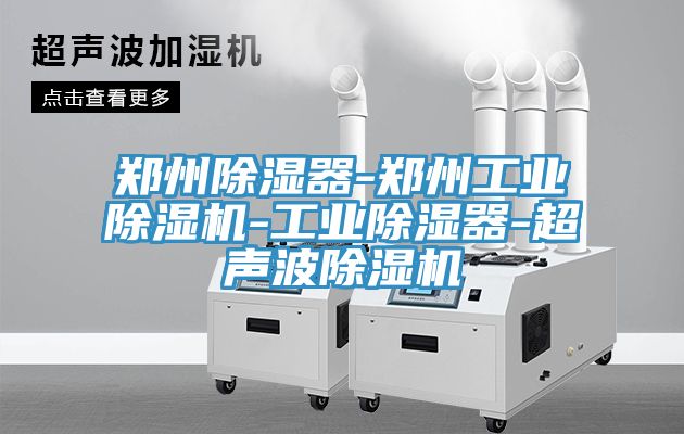 亚洲欧美一级特黄大片 郑州除湿器-郑州工业除湿机-工业除湿器-超声波除湿机