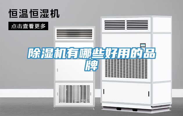 亚洲欧美一级特黄大片 除湿机有哪些好用的品牌