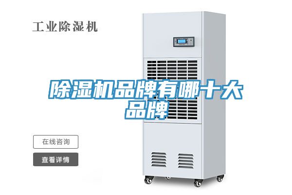 亚洲人成综合第一网站 除湿机品牌有哪十大品牌