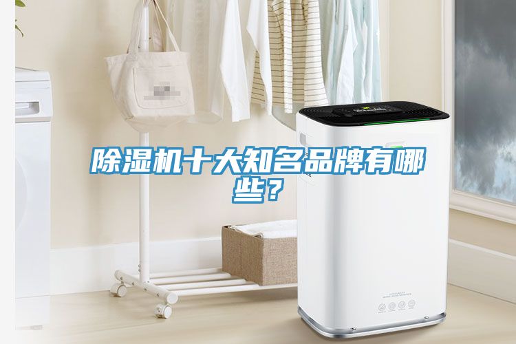 亚洲欧美一级特黄大片 除湿机十大知名品牌有哪些？
