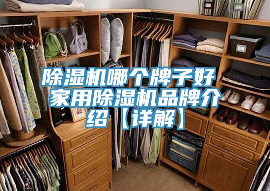 亚洲人成综合第一网站 除湿机哪个牌子好 家用除湿机品牌介绍【详解】