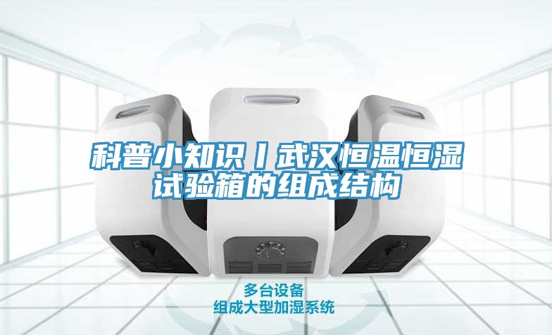 亚洲人成综合第一网站 科普小知识丨武汉恒温恒湿试验箱的组成结构