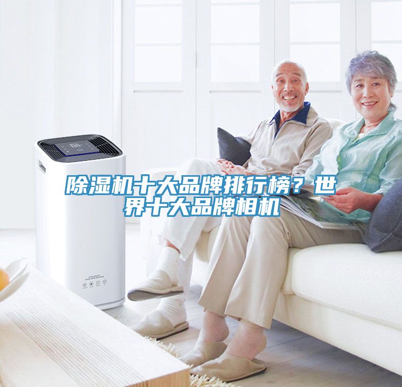 亚洲人成综合第一网站 除湿机十大品牌排行榜？世界十大品牌相机