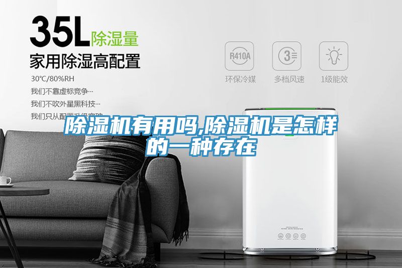 亚洲人成综合第一网站 除湿机有用吗,除湿机是怎样的一种存在