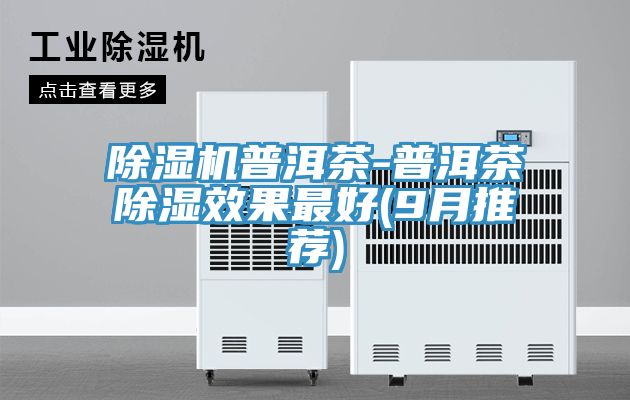 亚洲欧美一级特黄大片 除湿机普洱茶-普洱茶除湿效果最好(9月推荐)