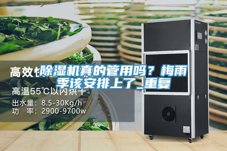 亚洲乱码一区二区三区 除湿机真的管用吗？梅雨季该安排上了_重复