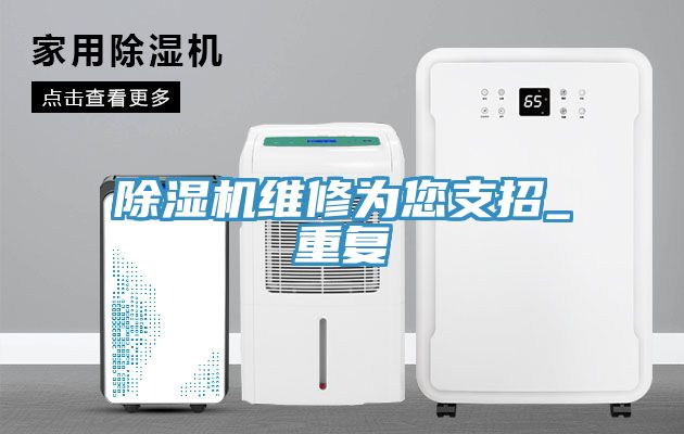 亚洲欧美一级特黄大片 除湿机维修为您支招_重复
