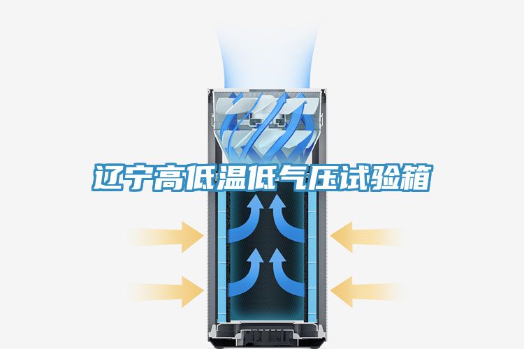 亚洲人成综合第一网站 辽宁高低温低气压试验箱