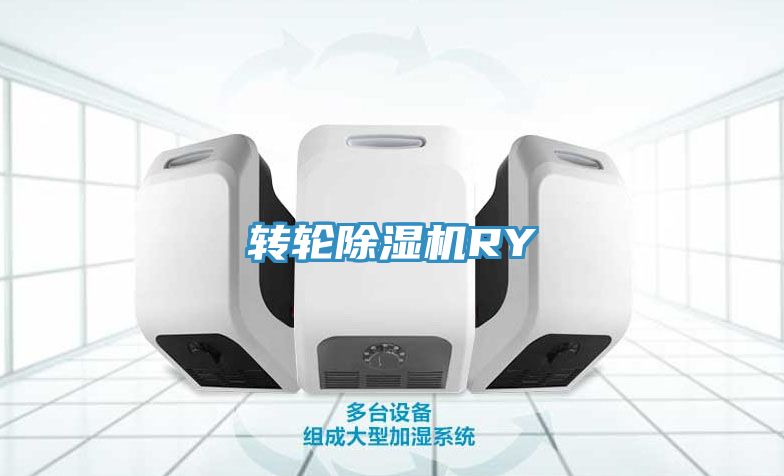 亚洲人成综合第一网站 转轮除湿机RY