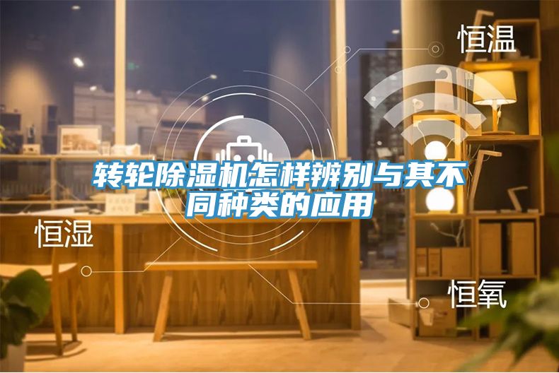亚洲人成综合第一网站 转轮除湿机怎样辨别与其不同种类的应用
