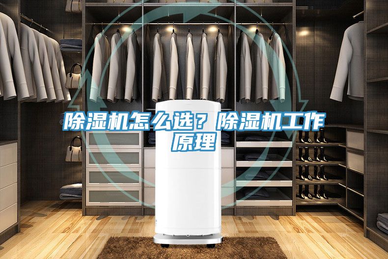 亚洲欧美一级特黄大片 除湿机怎么选？除湿机工作原理