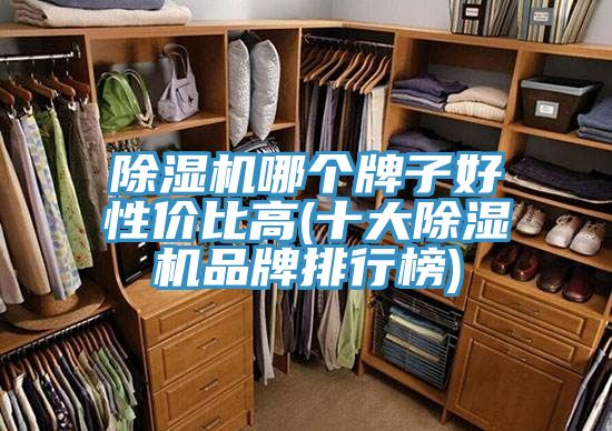 亚洲乱码一区二区三区 除湿机哪个牌子好性价比高(十大除湿机品牌排行榜)