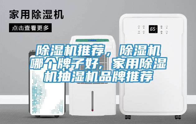 亚洲欧美一级特黄大片 除湿机推荐，除湿机哪个牌子好, 家用除湿机抽湿机品牌推荐
