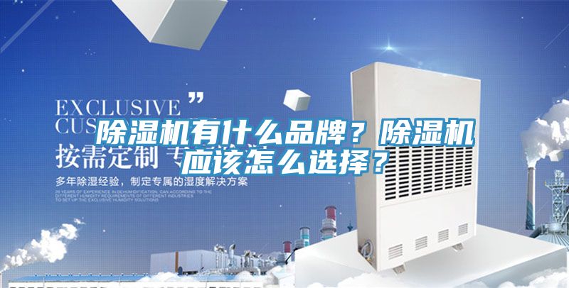亚洲人成综合第一网站 除湿机有什么品牌？除湿机应该怎么选择？