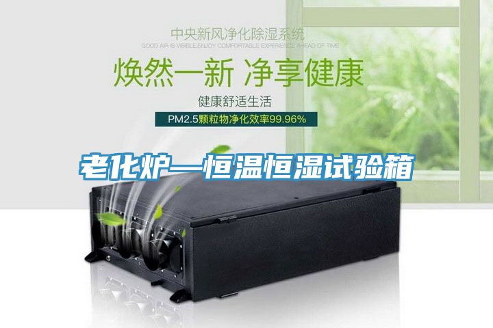亚洲欧美一级特黄大片 老化炉—恒温恒湿试验箱