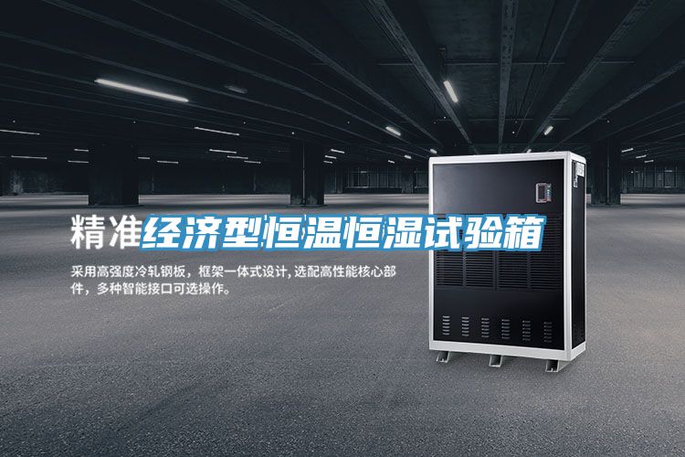 亚洲欧美一级特黄大片 经济型恒温恒湿试验箱