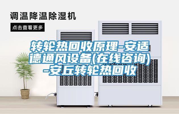 亚洲人成综合第一网站 转轮热回收原理-安适德通风设备(在线咨询)-安丘转轮热回收