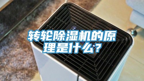 亚洲人成综合第一网站 转轮除湿机的原理是什么？