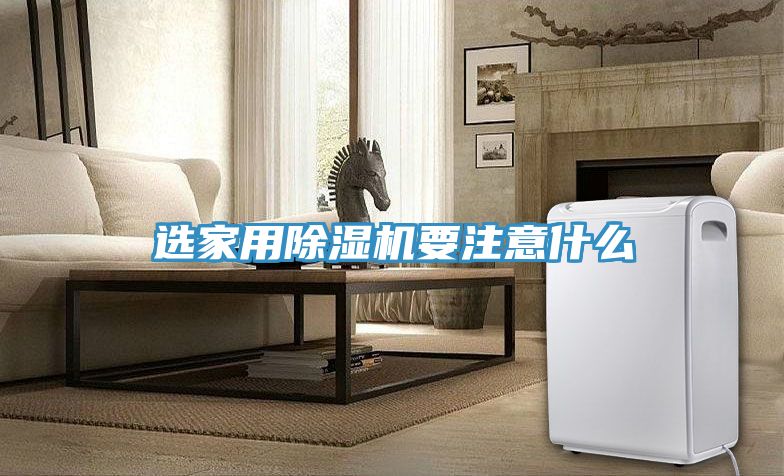亚洲欧美一级特黄大片 选家用除湿机要注意什么