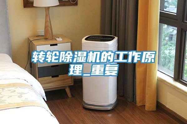 亚洲乱码一区二区三区 转轮除湿机的工作原理_重复