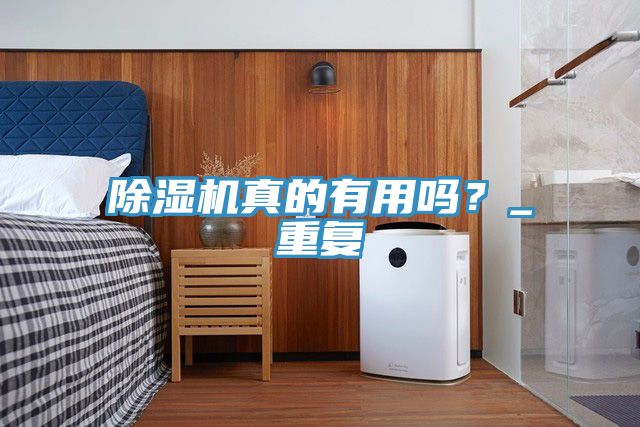 亚洲人成综合第一网站 除湿机真的有用吗？_重复