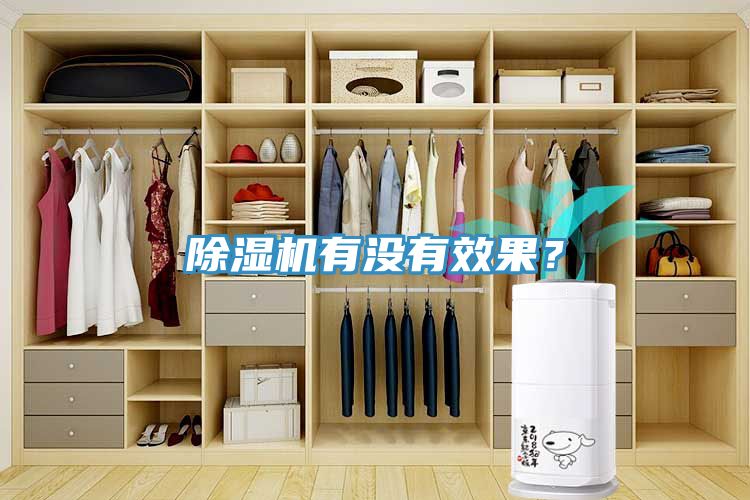 亚洲欧美一级特黄大片 除湿机有没有效果？