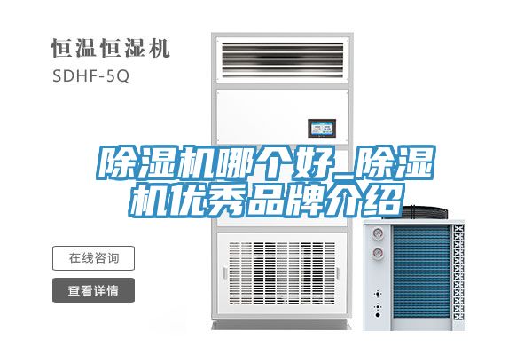 亚洲欧美一级特黄大片 除湿机哪个好_除湿机优秀品牌介绍