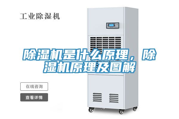 亚洲欧美一级特黄大片 除湿机是什么原理，除湿机原理及图解