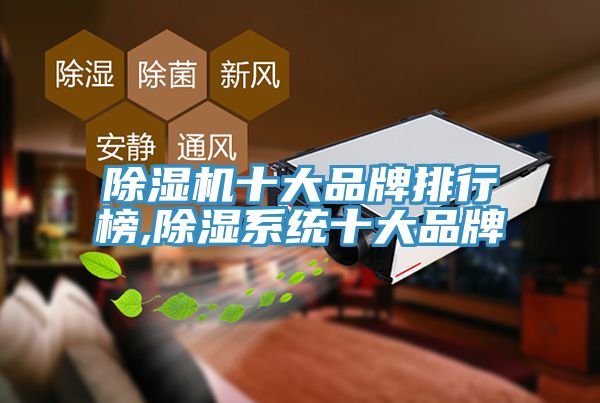 亚洲欧美一级特黄大片 除湿机十大品牌排行榜,除湿系统十大品牌